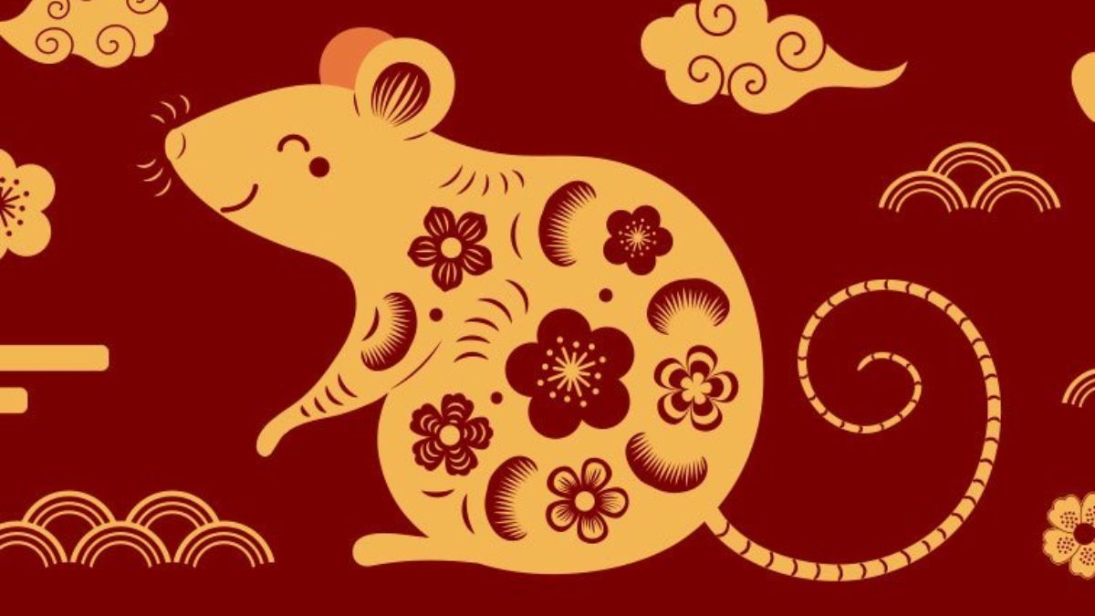 xr:d:DAFZy9A6neM:4810,j:3174315966862678649,t:23092613