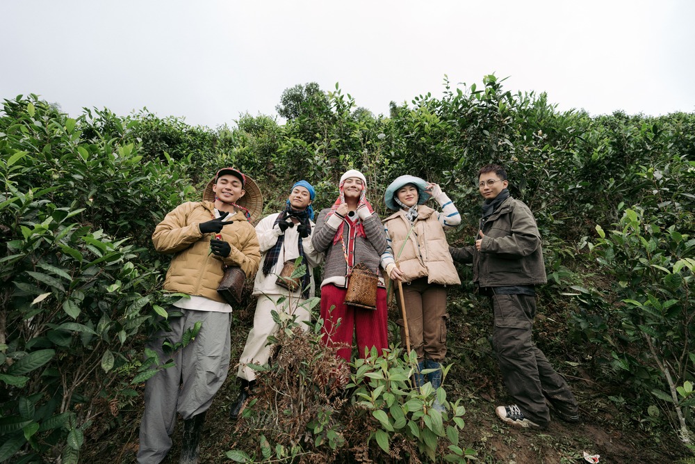 Các thành viên cùng lên đồi hái chè